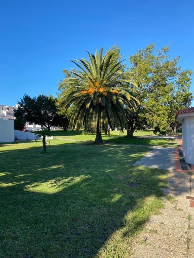 New Algarvegas Paradise Apartment Albufeira Eksteriør bilde