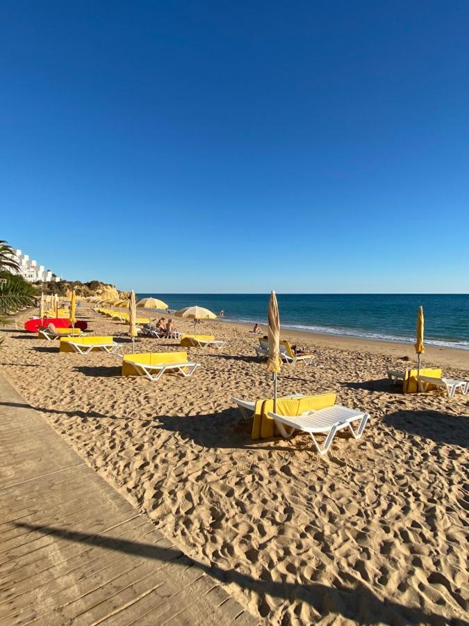 New Algarvegas Paradise Apartment Albufeira Eksteriør bilde