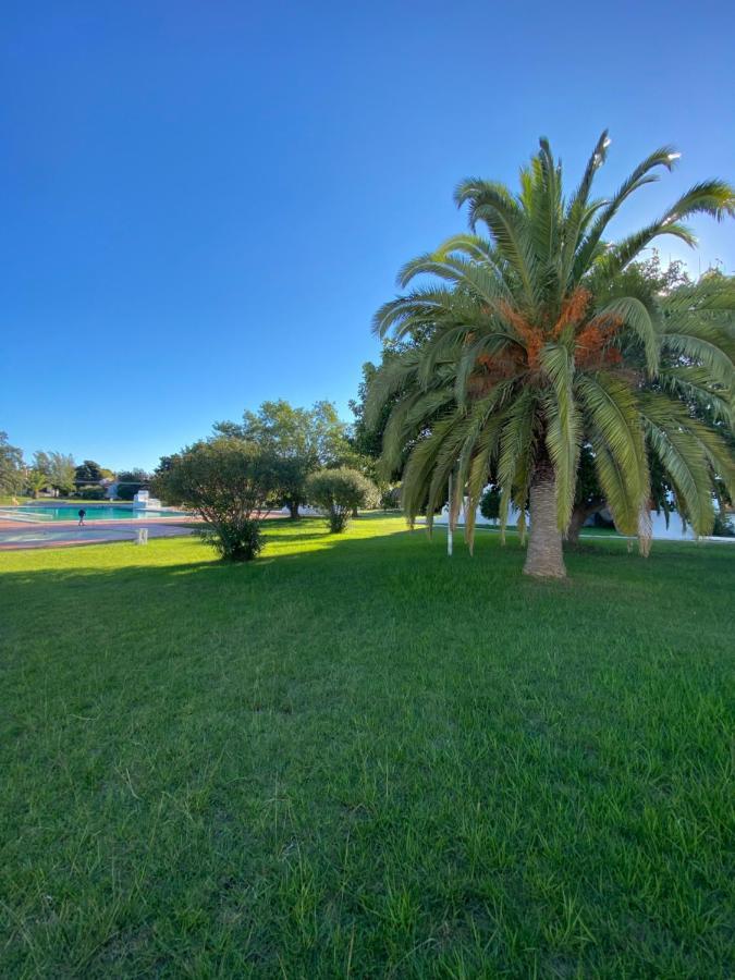 New Algarvegas Paradise Apartment Albufeira Eksteriør bilde