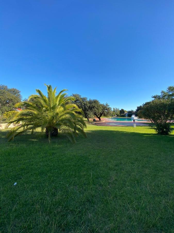 New Algarvegas Paradise Apartment Albufeira Eksteriør bilde