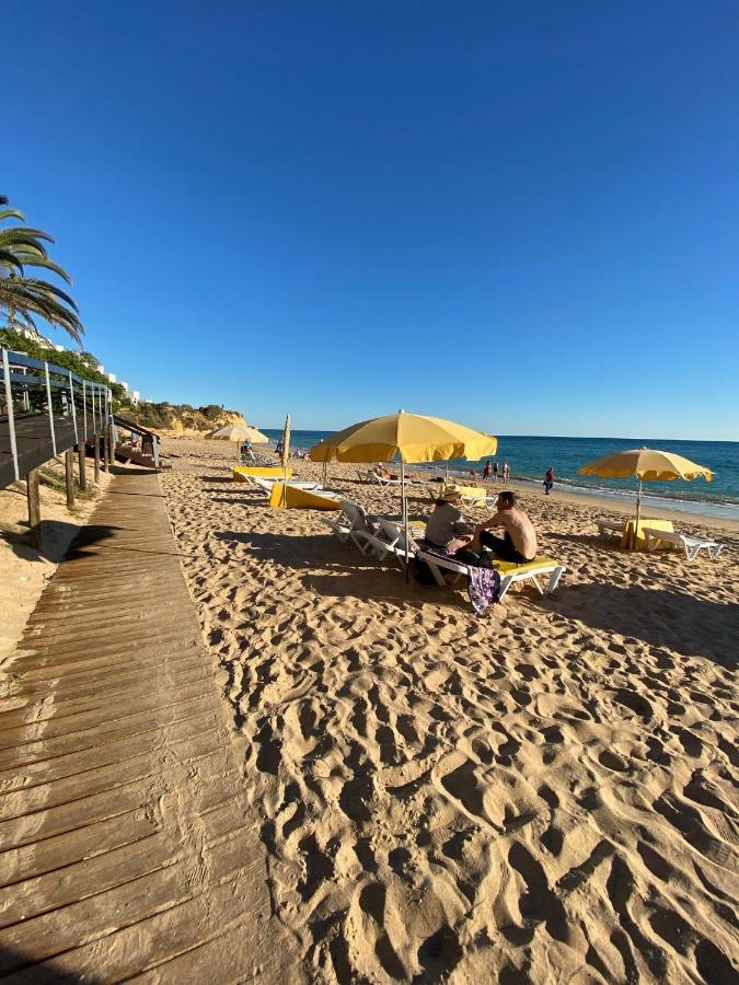 New Algarvegas Paradise Apartment Albufeira Eksteriør bilde