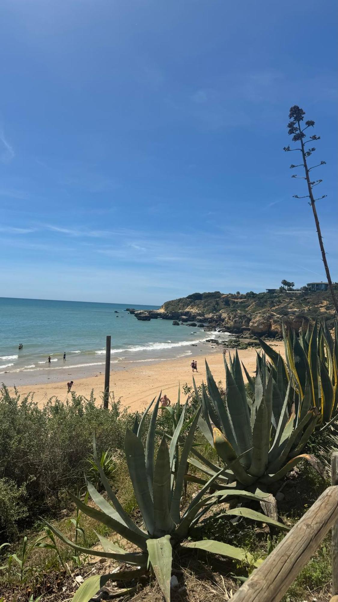 New Algarvegas Paradise Apartment Albufeira Eksteriør bilde
